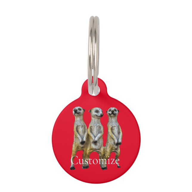 3スタンディングメルカッツサンダー_コーブ ペット　ネームタグ (正面)