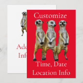 3スタンディングメルカッツサンダー_コーブ 招待状 (正面/裏面)