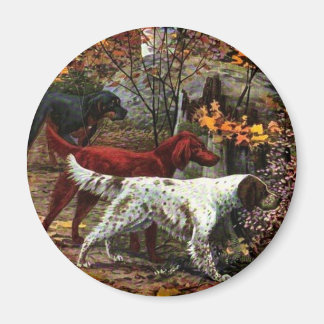 3セッターズ磁石 マグネット