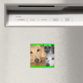 3ダギー緑のフレームマグネット マグネット (インサイチュ (食洗機))