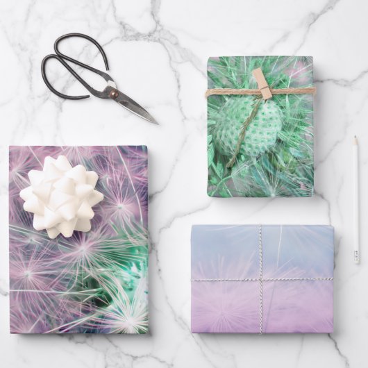 3ダンデロンのセットはシードヘッドを願う ラッピングペーパーシート (正面)