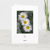3デイジーの挨拶状 カード (裏面)