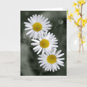 3デイジーの挨拶状 カード (黄色い花)