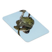 3トース小マグネット マグネット (右側)