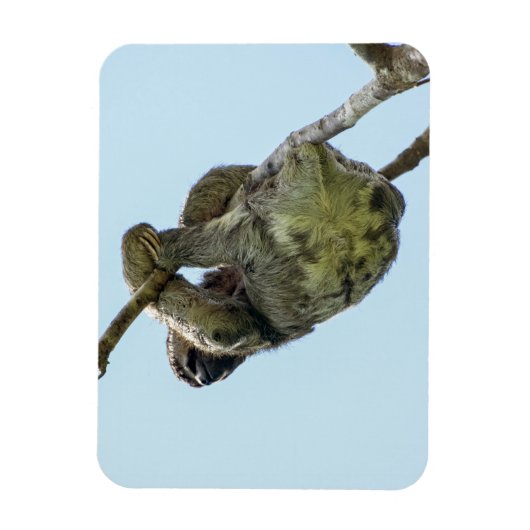 3トース小マグネット マグネット (縦)