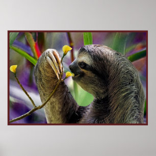 3トースSlothバリューポスター紙 ポスター