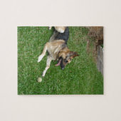 3ドイツ – 羊飼い – laying.png ジグソーパズル (横)