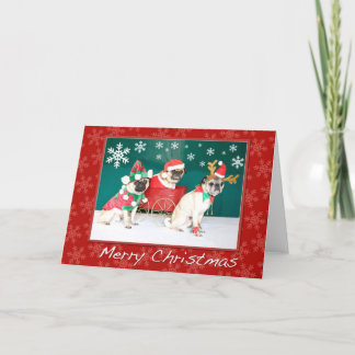 3パグのクリスマス シーズンカード