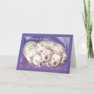 3ヒミ考えるスのお前 カード