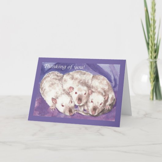 3ヒミ考えるスのお前 カード (正面)