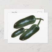 3フレッシュグリーンジャラペノピーマン写真スチルライフ ポストカード (正面/裏面)