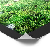 3フレンドリーベビー鹿 ポスター (角)