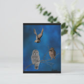 3フール – 2 ポストカード (スタンド正面)