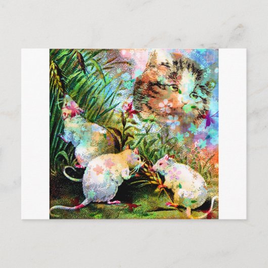 3ブラインドネズミ.jpg ポストカード (正面)