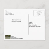 3ブルエルク戦はがき空白の ポストカード (裏面)