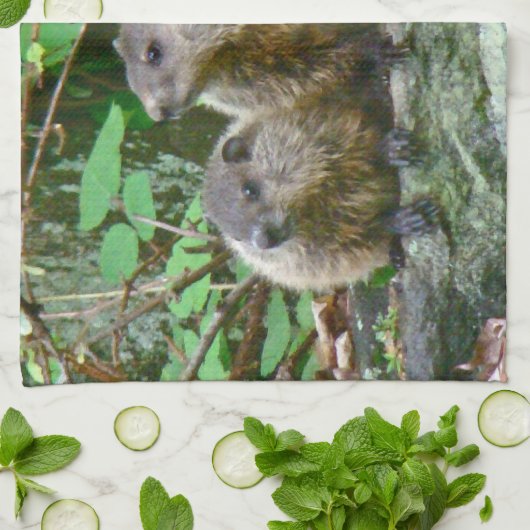 3ベビーGroundhogs キッチンタオル (折り畳み)