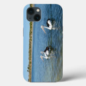3ペリカン水泳、iPhone 13ケース Case-Mate iPhoneケース (裏面)