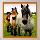 3ポニー ポスター (正面)