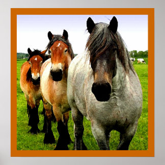 3ポニー ポスター