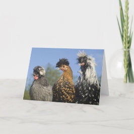 3ポファンキーリッシュチキンおもしろい- Birds カード