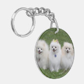3ポメラニア犬の着席 キーホルダー (正面左)