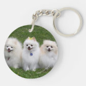 3ポメラニア犬の着席 キーホルダー (裏面)