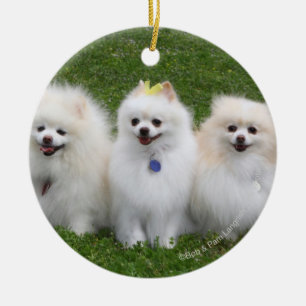 3ポメラニア犬の着席 セラミックオーナメント