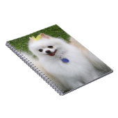 3ポメラニア犬の着席 ノートブック (右側)