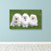 3ポメラニア犬座る キャンバスプリント (インサイチュ (ウッドフロア))