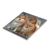 3ポメラニア犬 タイル (側面)