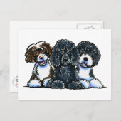 3ポルトガル水犬 ポストカード (正面/裏面)