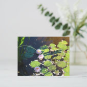 3ユリ ポストカード (スタンド正面)