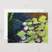 3ユリ ポストカード (正面/裏面)