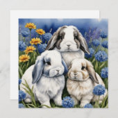 3リトルロプバニーラビット シーズンカード (正面/裏面)