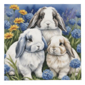 3リトルロプバニーラビット フォトキューブ (正面)