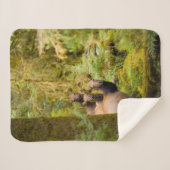 3ルーズベルトElk牛が見て シェルパブランケット (正面(横))