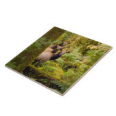 3ルーズベルトElk牛が見て タイル (側面)