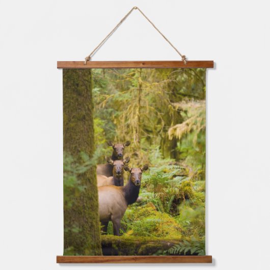 3ルーズベルトElk牛が見て 吊り下げ型タペストリー (正面)