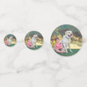 3レックス恐竜テーマ第3誕生日写真 コンフェッティ (正面)