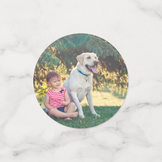 3レックス恐竜テーマ第3誕生日写真 コンフェッティ (スモール正面)