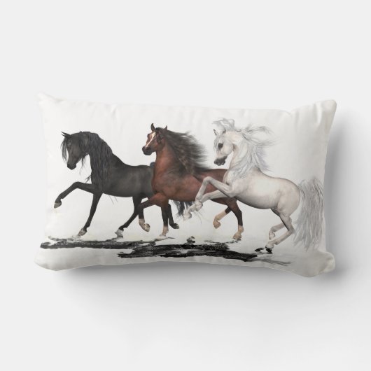 3人のアラビア人は腰神経の枕13" 2味方しましたx 21 " ランバークッション (裏面)