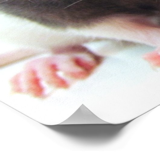 3人のジョーカー ポスター (角)