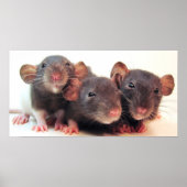 3人のジョーカー ポスター (正面)