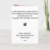 3人のピンクレディーの咲くこと カード (裏面)