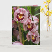 3人のピンクレディーの咲くこと カード (黄色い花)