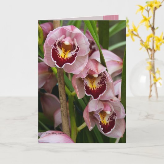 3人のピンクレディーの咲くこと カード (黄色い花)