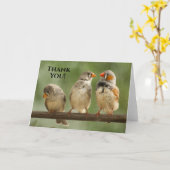 3人のフィンチ動物の鳥の写真をありがとう カード (黄色い花)