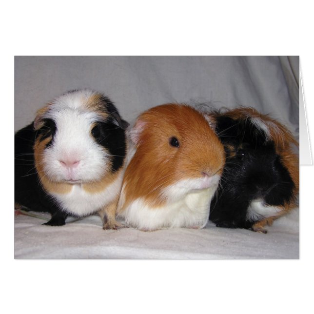 3人の友達 (正面横)