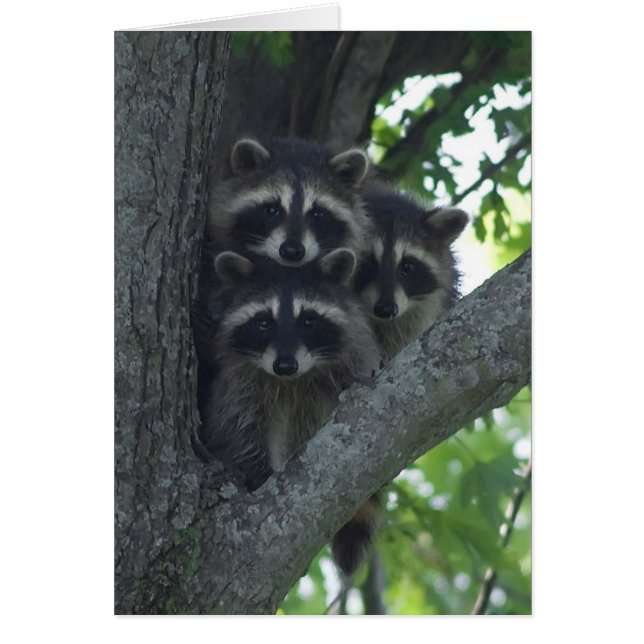 3人の友達 (正面)