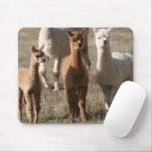 3人の友達、アルパカスタイル マウスパッド (マウス)